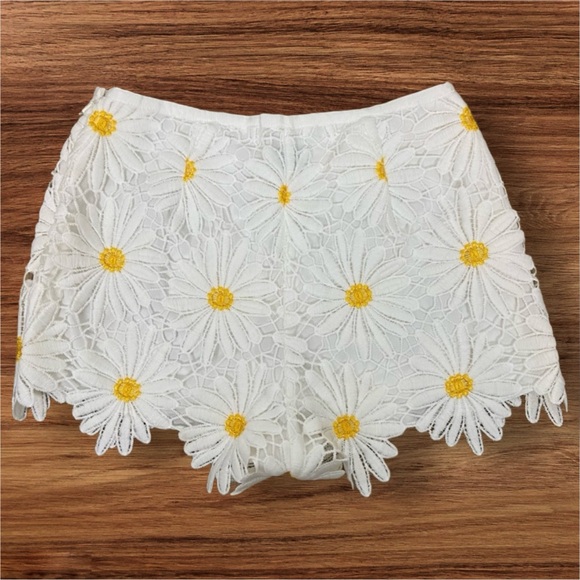 New Saylor x Free People Daisy Morgana M 8/10 Textured Floral Lace High Waist - Picture 11 of 11